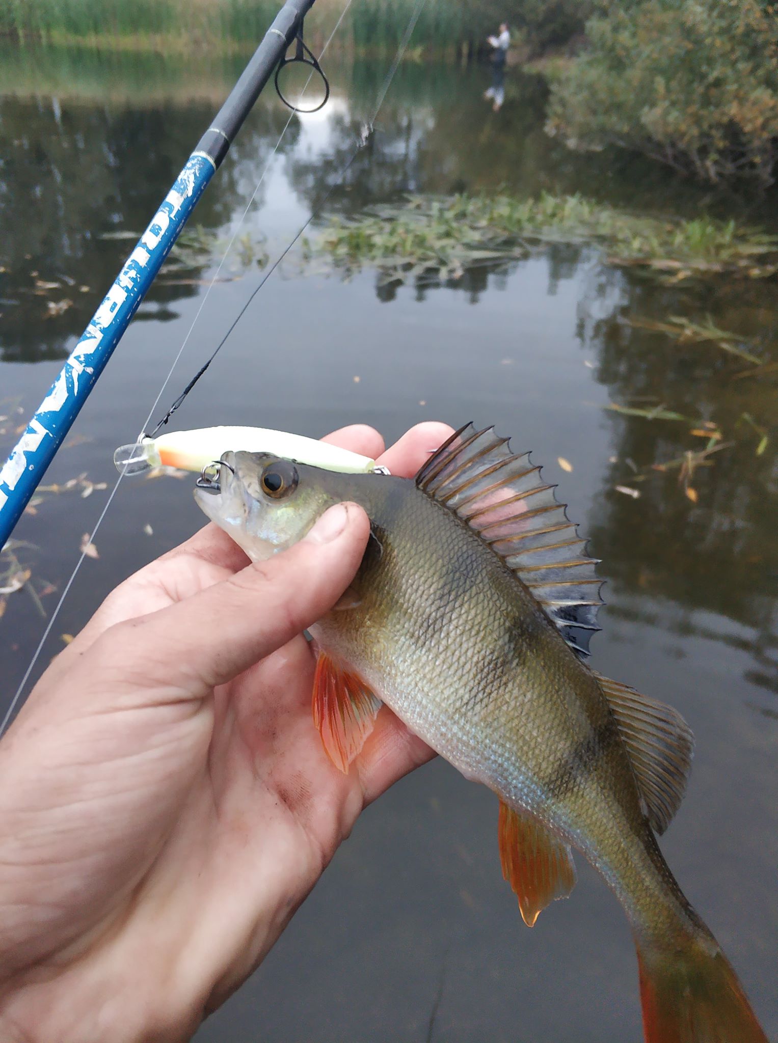 Zmiana Koloru Oczu Pod Wpływem Emocji WOBLER RaFish 8 CM KILLER ŚWIECĄCY W NOCY killer