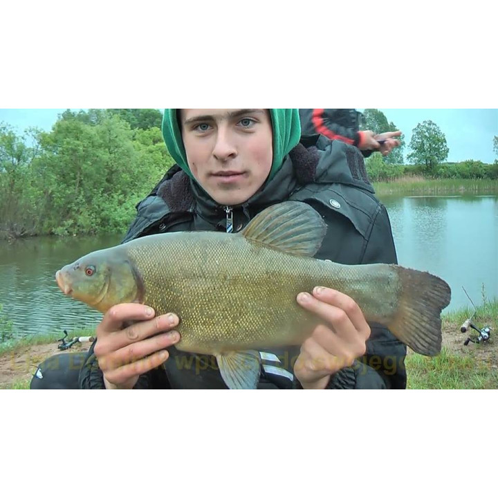 Lin/Karaś 1Kg Zanęta Wędkarska RaFish
