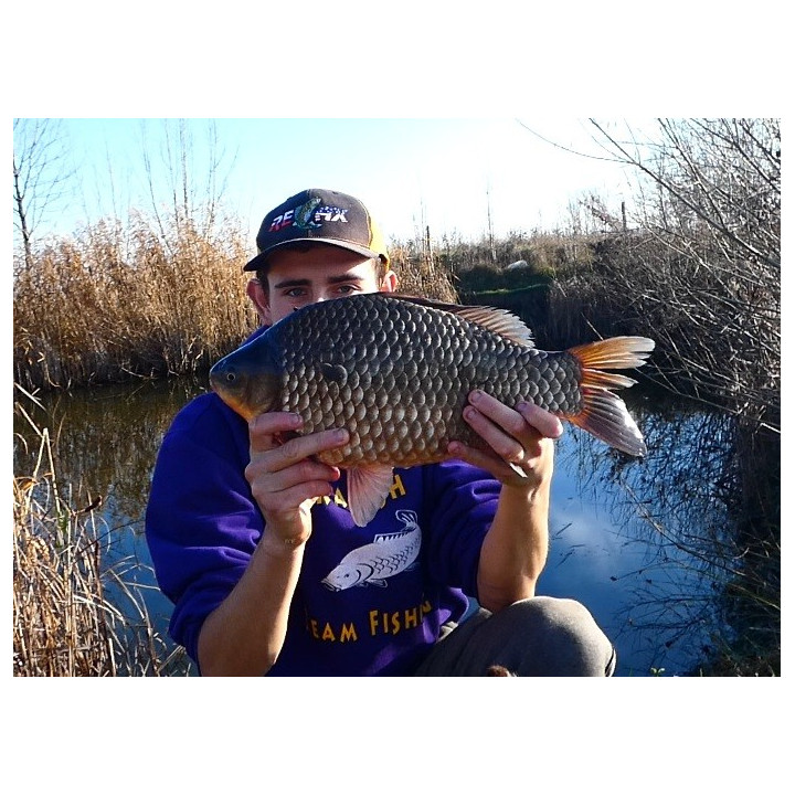 Lin/Karaś 1Kg Zanęta Wędkarska RaFish