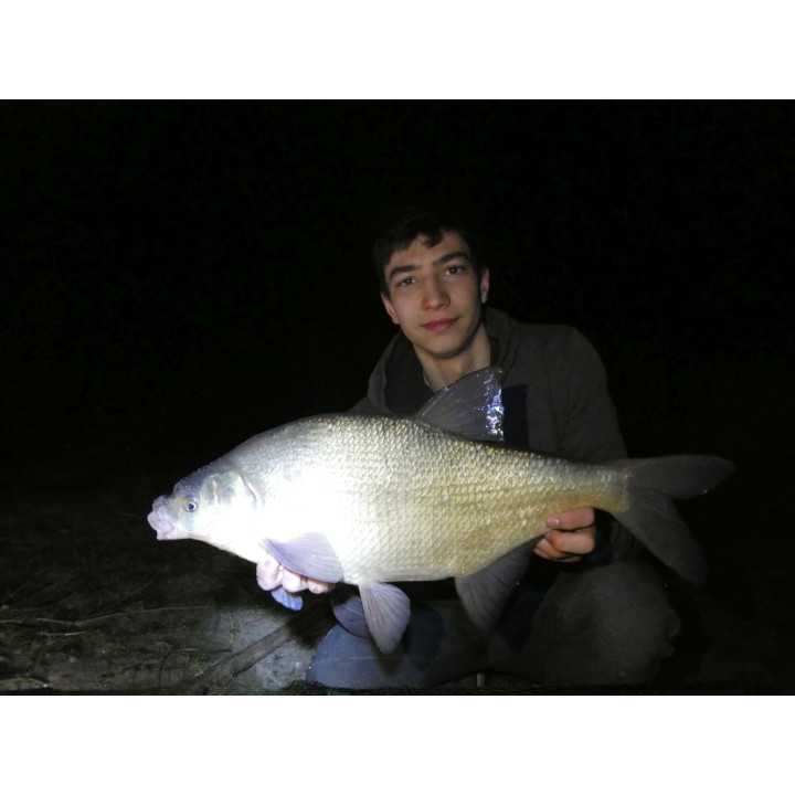 Leszcz 1Kg Zanęta Wędkarska RaFish