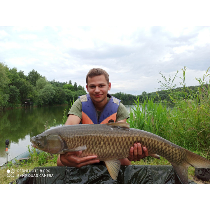 Ogórek 16/18mm 200ml - Kulki Proteinowe Haczykowe RaFish  150g