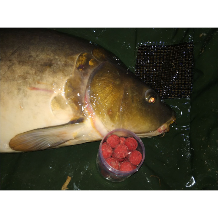 16mm Truskawka Kulki Proteinowe : RaFish 100h haczykowe
