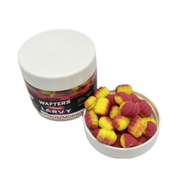 Cytrus/Morwa 10mm 50ml Larva Wafters Dwukolorowa RaFish