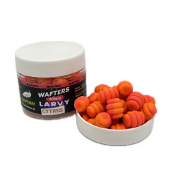 Cytrus Larva 10mm 50ml Pop-Up Dwukolorowa RaFish