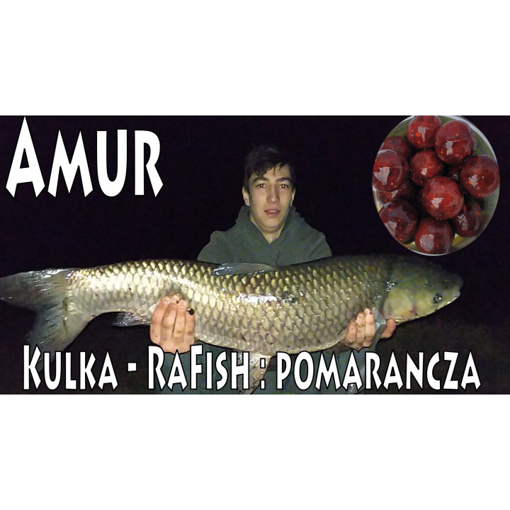 Pomarańcza 16-20mm 1kg Kulki Proteinowe Zanętowe RaFish