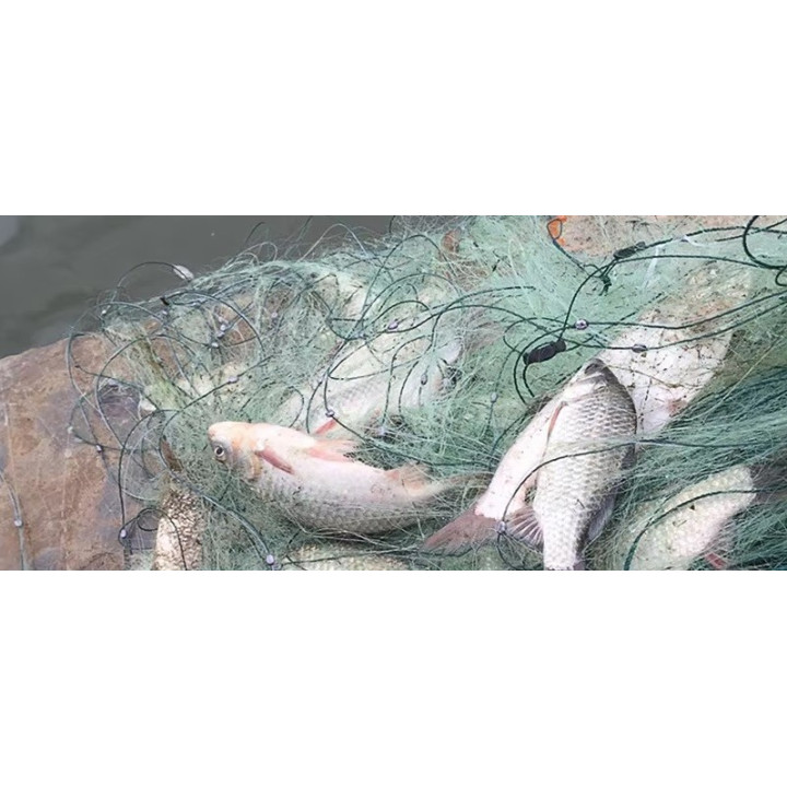 Drgawica 40m/2m Siatka RaFish
