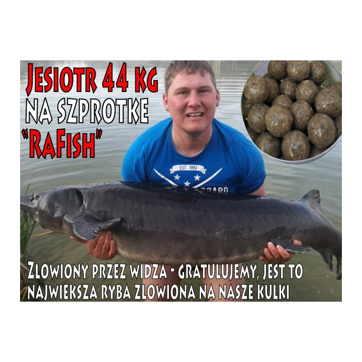 Szprotka 0.5Kg + Dip 50ml Kulki Proteinowe RaFish