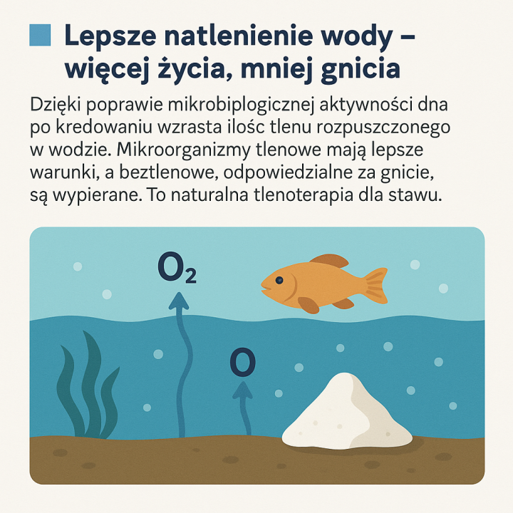 20kg KREDA DLA RYB DO OCZEK WODNYCH W WIADRZE
