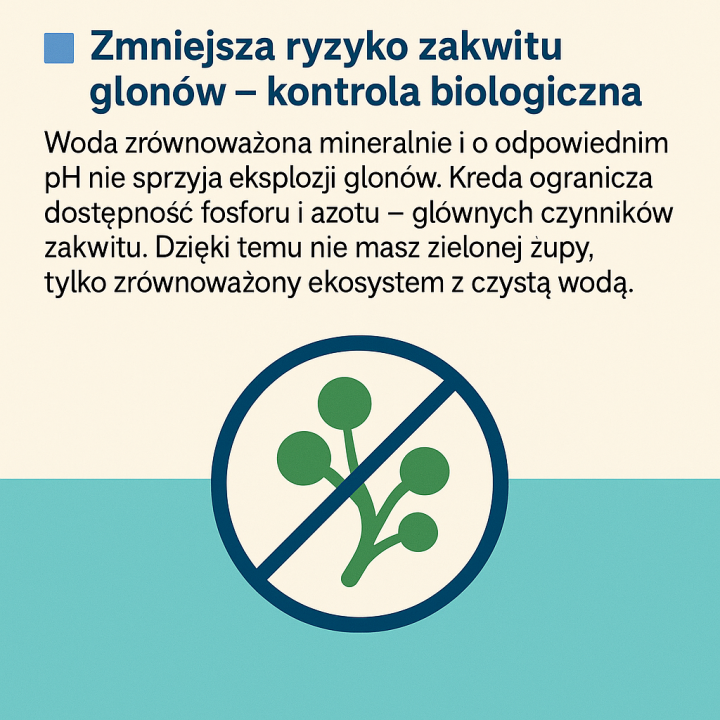 20kg KREDA DLA RYB DO OCZEK WODNYCH W WIADRZE