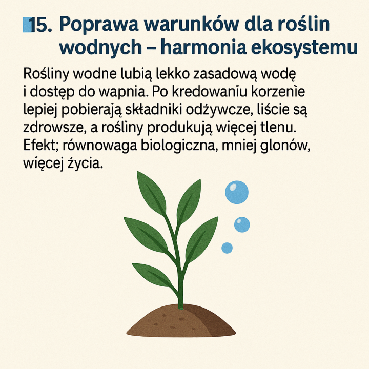 20kg KREDA DLA RYB DO OCZEK WODNYCH W WIADRZE