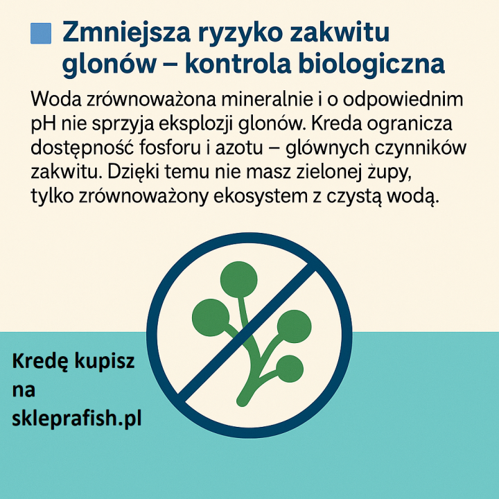 20kg KREDA DLA RYB DO OCZEK WODNYCH W WIADRZE