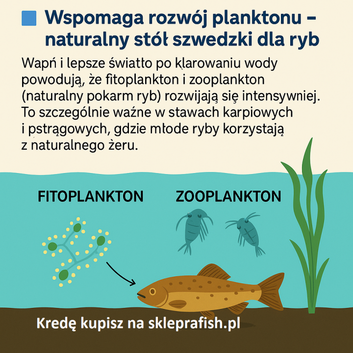 20kg KREDA granulowana DLA RYB DO STAWÓW I OCZEK WODNYCH W WIADRZE