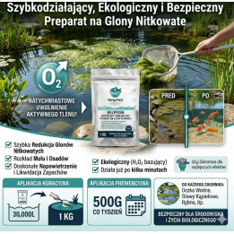 1KG LIKWIDACJA GLONÓW Natleniacz Oczka szlam i muł glony nitkowe