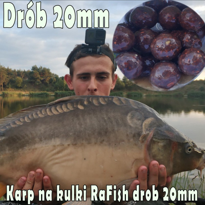 Drób 20mm 200ml Kulki Proteinowe Haczykowe RaFish