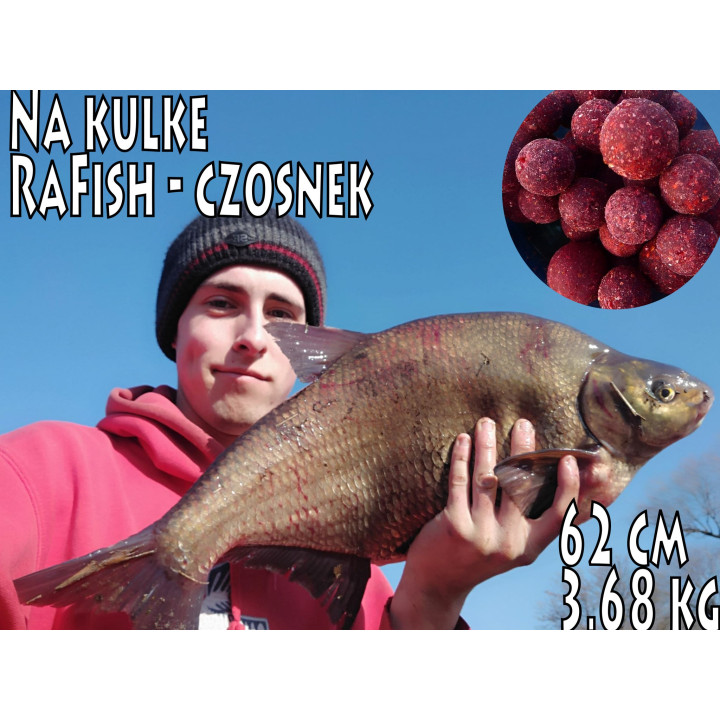 Czosnek 20mm 200ml Kulki Proteinowe Haczykowe RaFish