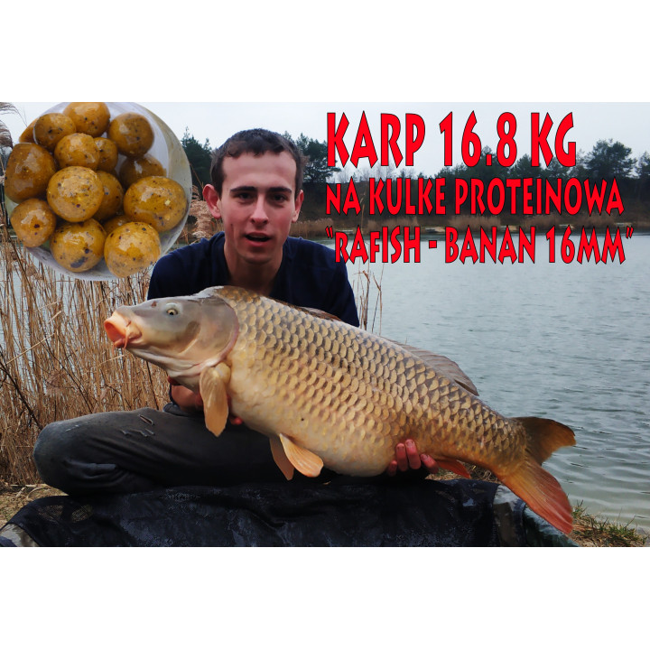 Banan 16mm 200ml Kulki Proteinowe Haczykowow RaFish