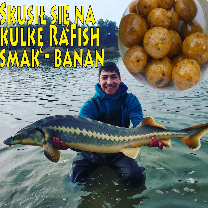 Banan 16mm 200ml Kulki Proteinowe Haczykowow RaFish