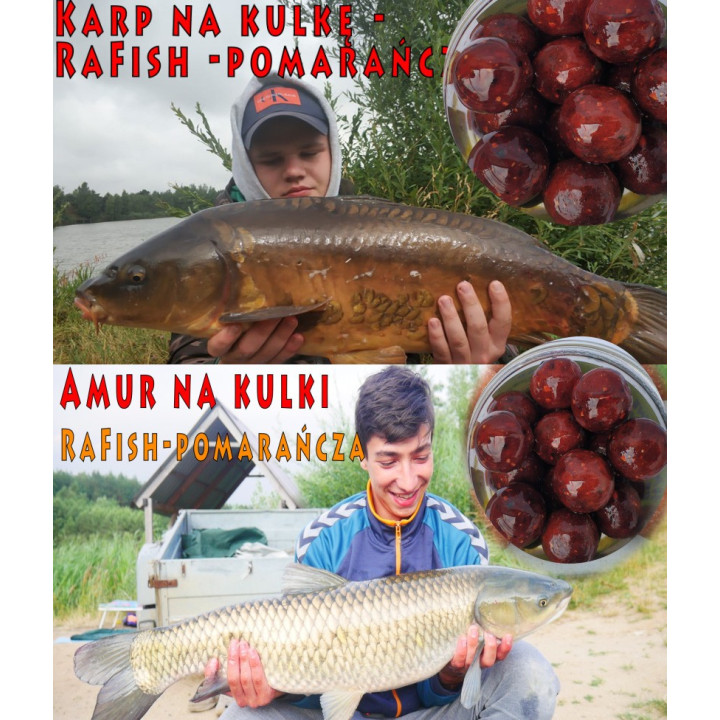 Pomarańcza 16mm 200ml Kulki Proteinowe Haczykowe RaFish
